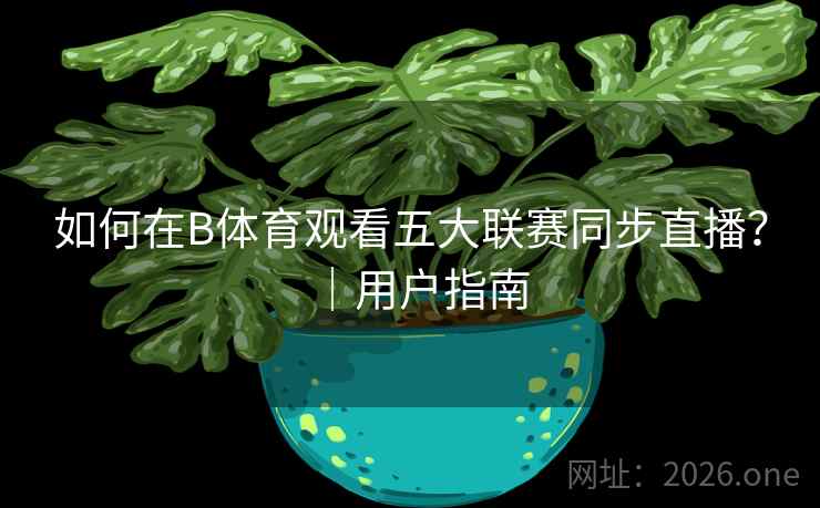 如何在B体育观看五大联赛同步直播？｜用户指南
