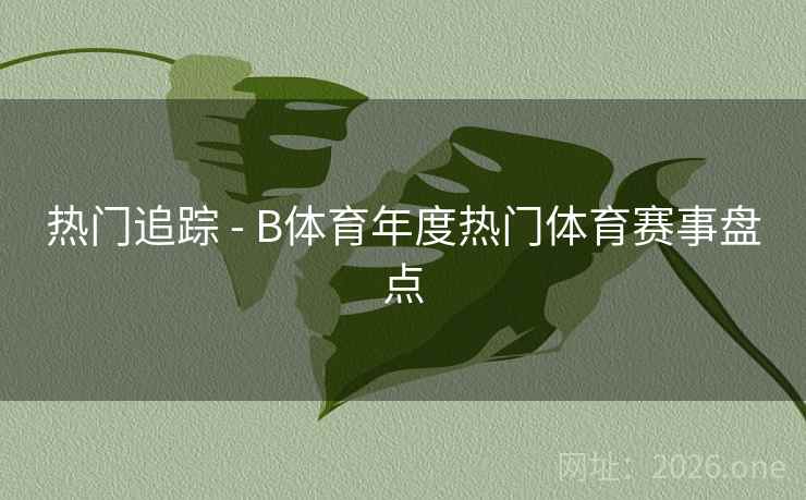 热门追踪 - B体育年度热门体育赛事盘点