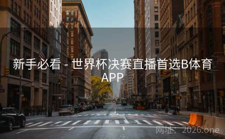新手必看 - 世界杯决赛直播首选B体育APP