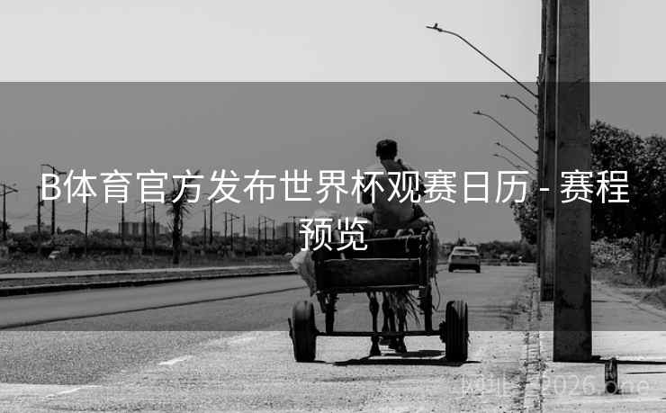 B体育官方发布世界杯观赛日历 - 赛程预览