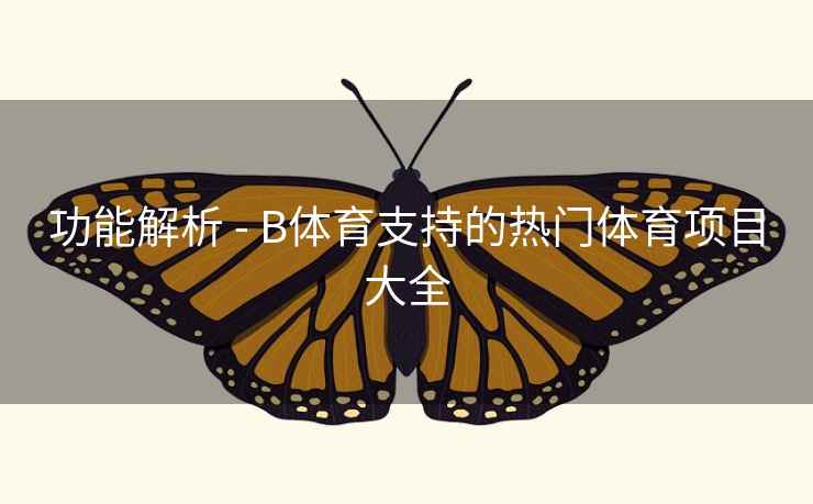 功能解析 - B体育支持的热门体育项目大全