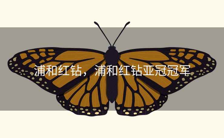 浦和红钻，浦和红钻亚冠冠军