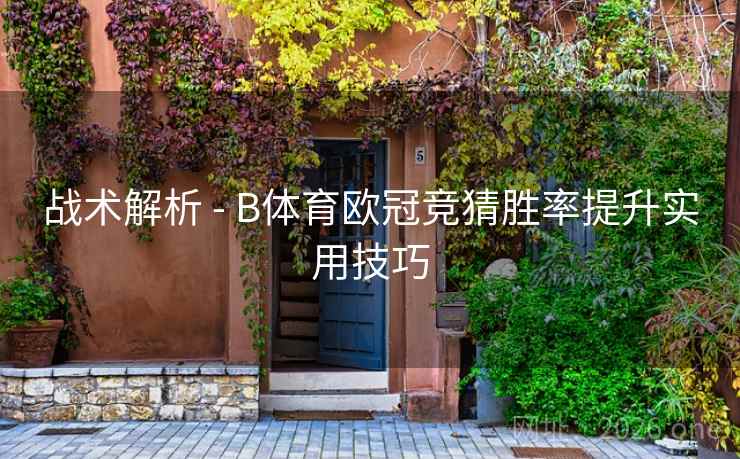 战术解析 - B体育欧冠竞猜胜率提升实用技巧