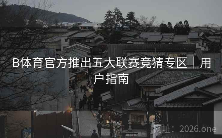 B体育官方推出五大联赛竞猜专区|用户指南
