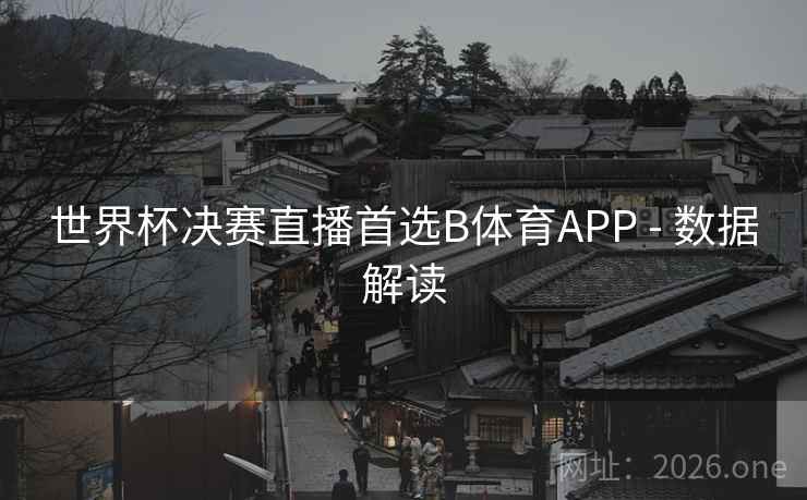 世界杯决赛直播首选B体育APP - 数据解读