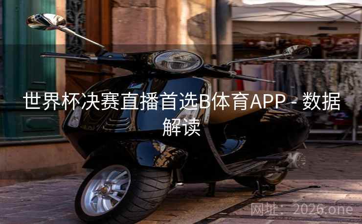 世界杯决赛直播首选B体育APP - 数据解读