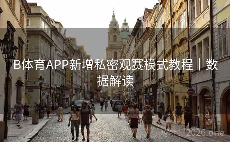 B体育APP新增私密观赛模式教程｜数据解读