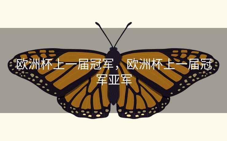 欧洲杯上一届冠军，欧洲杯上一届冠军亚军