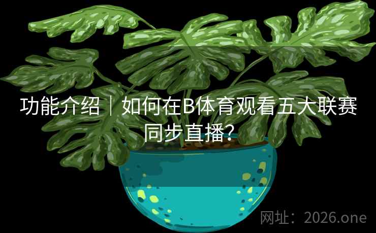 功能介绍｜如何在B体育观看五大联赛同步直播？