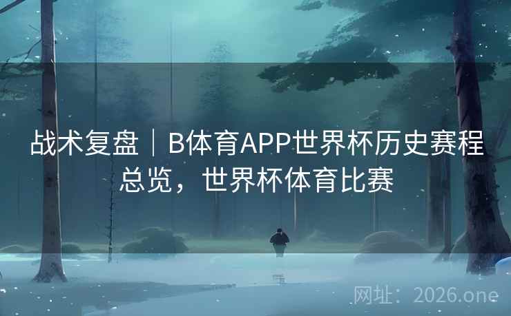 战术复盘|B体育APP世界杯历史赛程总览,世界杯体育比赛