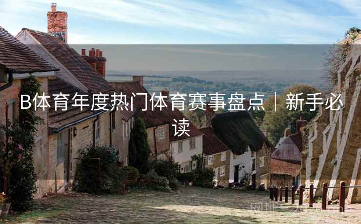 B体育年度热门体育赛事盘点|新手必读