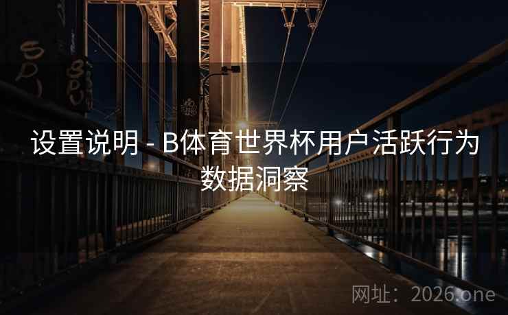 设置说明 - B体育世界杯用户活跃行为数据洞察