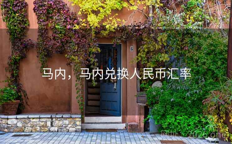 马内,马内兑换人民币汇率