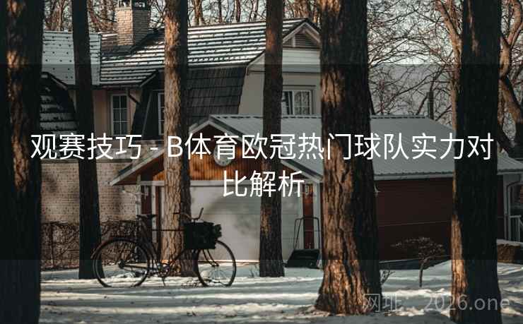 观赛技巧 - B体育欧冠热门球队实力对比解析
