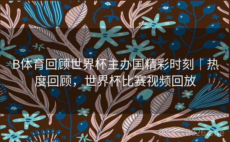 B体育回顾世界杯主办国精彩时刻｜热度回顾，世界杯比赛视频回放