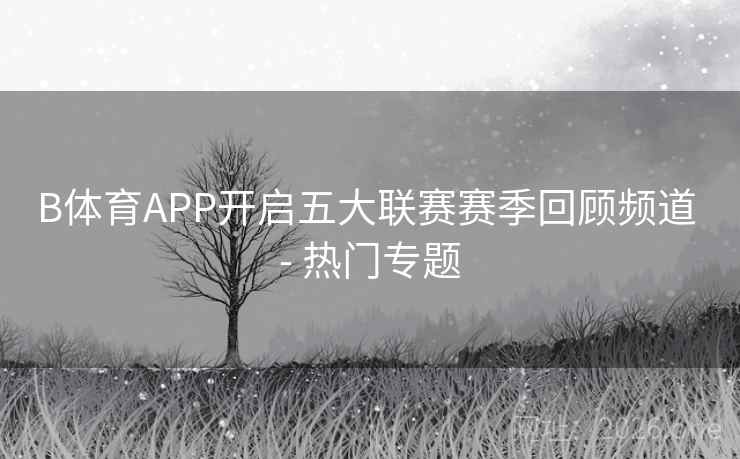 B体育APP开启五大联赛赛季回顾频道 - 热门专题